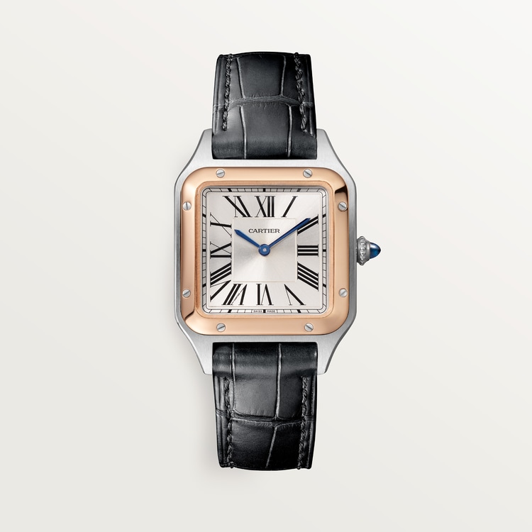 Cartier SANTOS-DUMONT