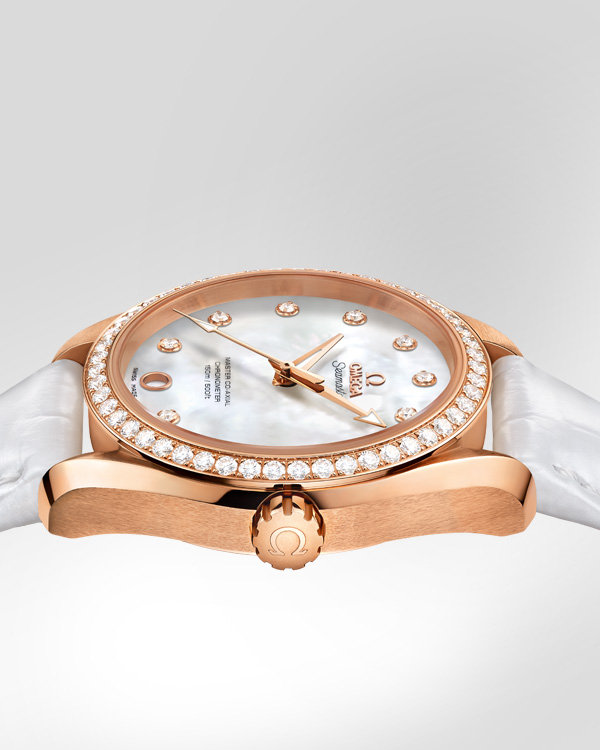 Seamaster Aqua Terra