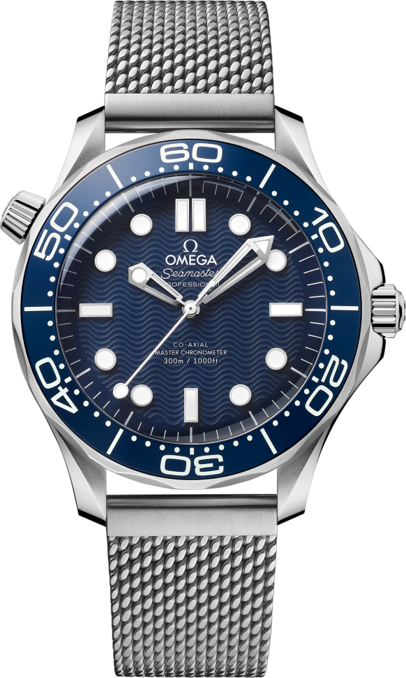 Seamaster Diver 300 m 42 mm