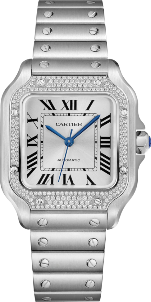 Cartier Santos De